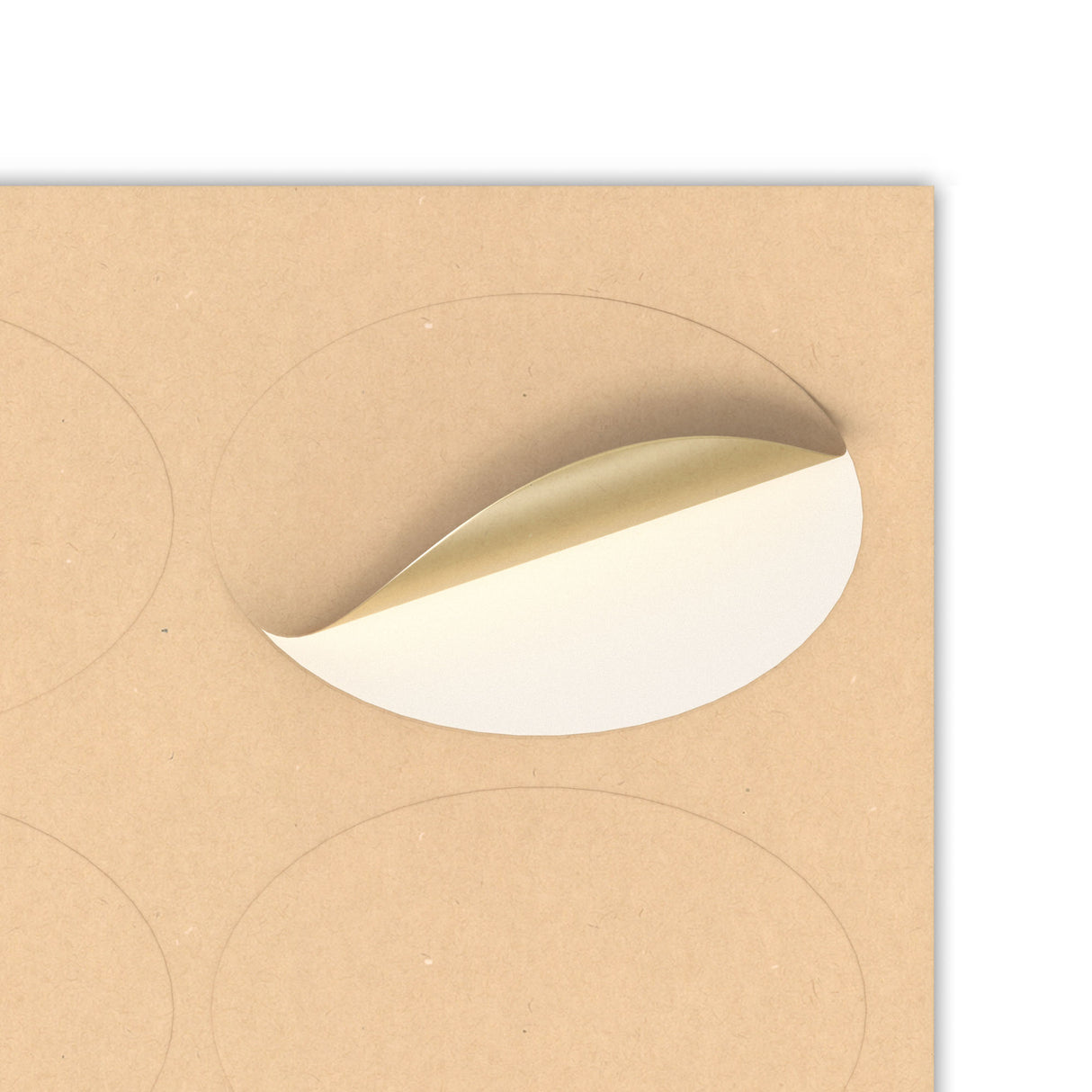 Oval Adhesive Labels