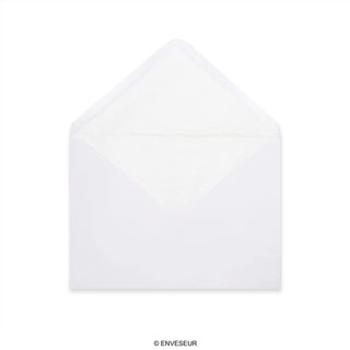Paper Lined Envelopes