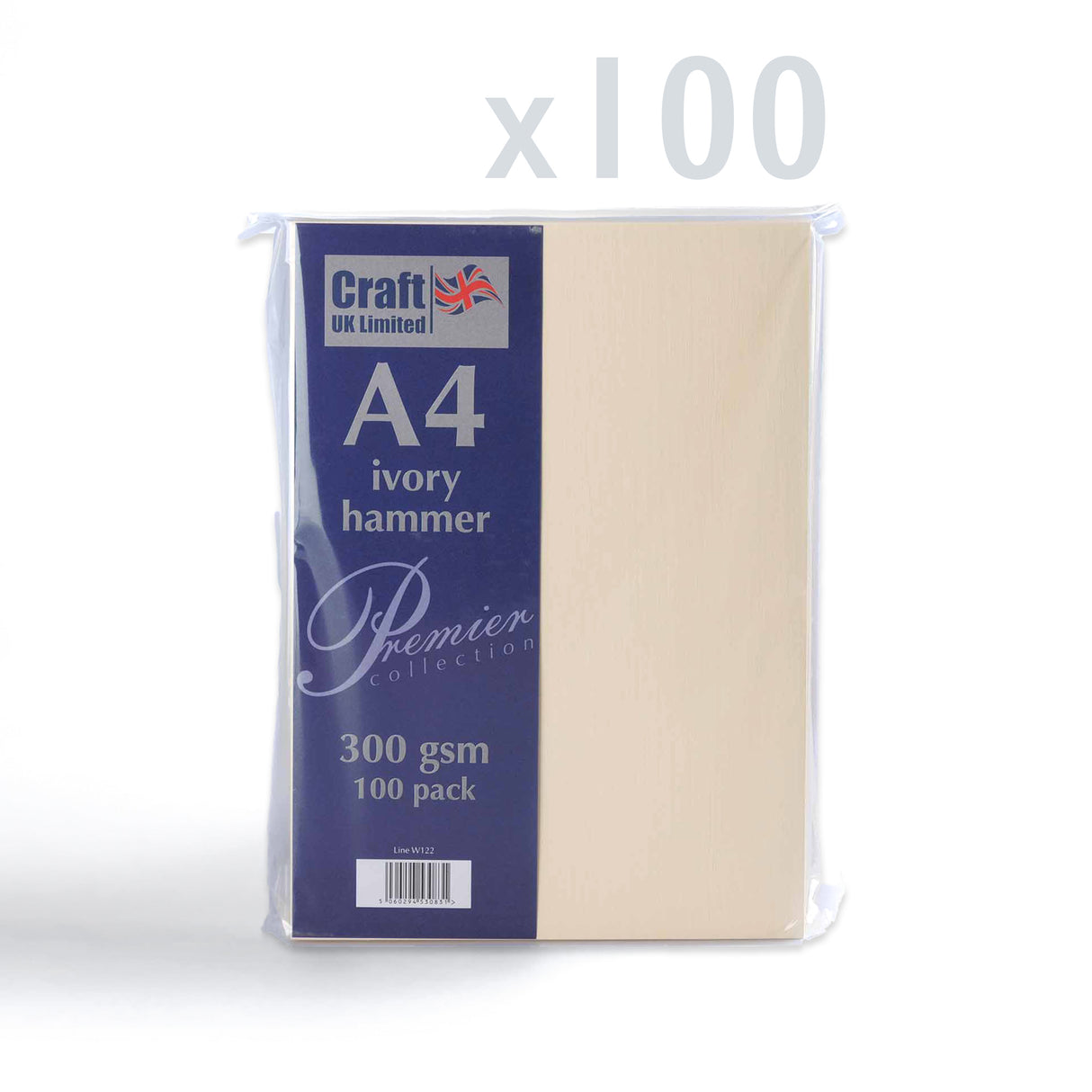 Card 300gsm Pack of 100pcs