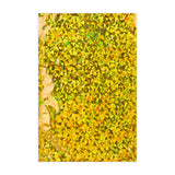 Holographic Finish Foil Bags