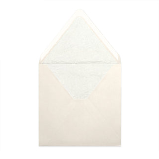 Paper Lined Envelopes